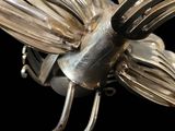 a close up of a silver plated insect on a black background