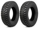 pair of 2 tires for the vendu par lote 2