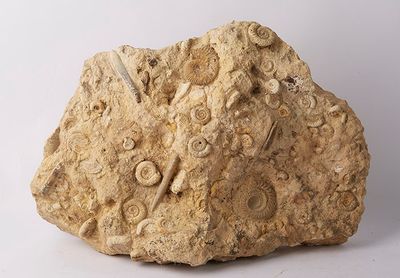a large rock with a clock on it on a white surface