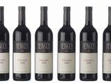 six bouteilles de vin sont alignées sur une surface blanche