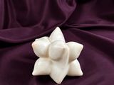 a white flower on a purple cloth with a black background