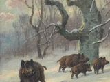 a painting of a herd of wild boars in the snow