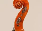 a violin with a long neck and a long tail on a white background