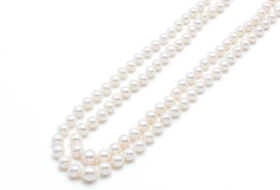 deux rangées de perles blanches sur fond blanc