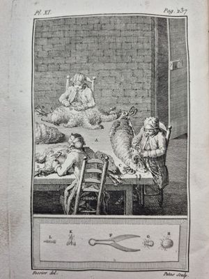 an old book with a picture of a woman sitting at a table with animals