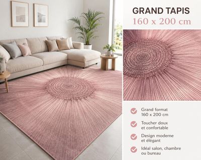 tapis rose représentant un salon avec un canapé et une table basse