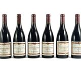 six bouteilles de vin sont alignées sur une surface blanche