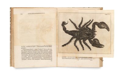 un livre ouvert sur lequel est dessiné un scorpion