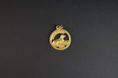 un gros plan d'une médaille d'or sur laquelle figure un cheval