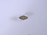 un petit poisson qui vole dans le ciel