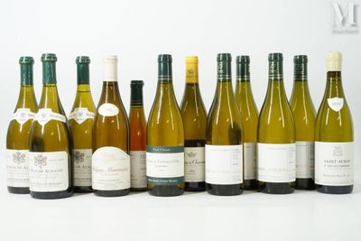 plusieurs bouteilles de vin sont alignées sur une surface blanche