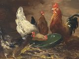 un tableau représentant des poules et des coqs en train de manger dans un bol