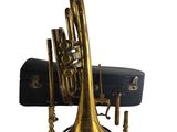 an image of a brass trumpet and a case on a white background