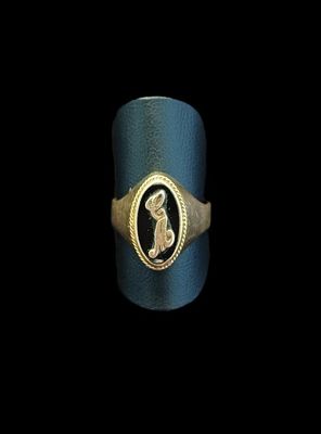 une image représentant une bague dorée et noire ornée d'un cheval