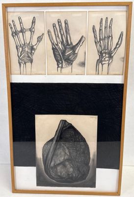 Leonardo DELFINO (1928-2022) Le corps humain