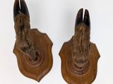 pair of carved wooden animal heads mounted on a wall