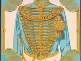 une image représentant un tableau d'un uniforme militaire orné de décorations dorées