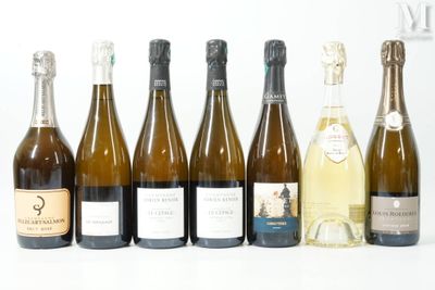 plusieurs bouteilles de vin sont alignées sur une surface blanche