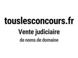 Photo 1/1 du lot