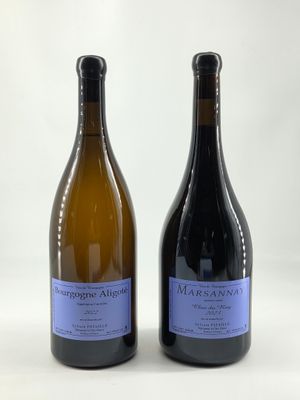 deux bouteilles de vin posées l'une à côté de l'autre sur une table