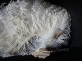 un éventail en plumes blanches sur fond noir