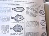 un livre ouvert sur lequel figure un dessin de poissons