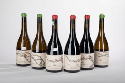 six bouteilles de vin sont alignées sur une surface blanche