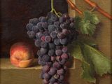 a painting of a bunch of grapes and a peach on a ledge