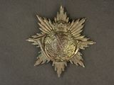 une image représentant une médaille d'or ornée d'une étoile