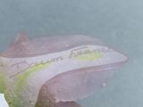 a close up of a person holding a flower with a name on it
