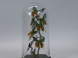 glass cloche with butterflies in a glass dome on a white background