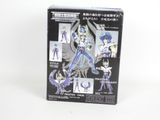 the box has a picture of a figure of a woman with a sword
