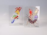deux petits insectes en verre, de couleurs et de tailles différentes, posés sur une surface blanche