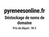 Photo 1/1 du lot