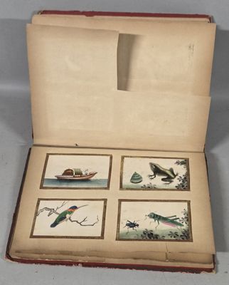 four pictures of birds in a box on a table