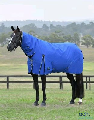 a black horse wearing a blue blanket standing in a field
