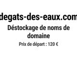 Photo 1/1 du lot