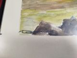 a picture of a painting of a bear laying on the ground