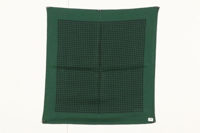 une photo d'une écharpe verte et noire accrochée à un mur