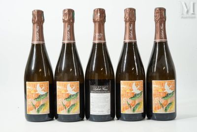 six bouteilles de vin sont alignées sur une surface blanche
