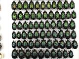 a picture of a display of beetles in a white box