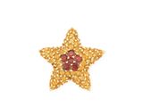 a close up of a gold star brooch with red stones