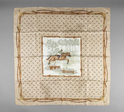 an image of a horse and rider on a blanket