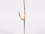 an image of a sculpture of a tree branch on a wooden base