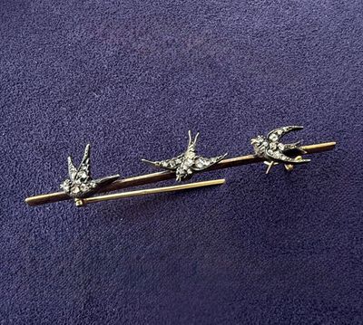 two birds are perched on top of a pair of chopsticks