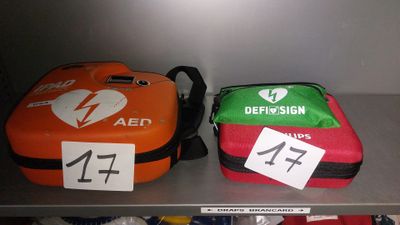 deux sacs de couleurs et de tailles différentes posés sur une étagère