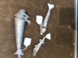 un poisson qui gît par terre à côté d'une bouteille