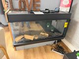 un aquarium dans lequel il y a beaucoup de bois