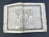 an open book with a drawing of a tree on it