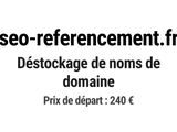 Photo 1/1 du lot